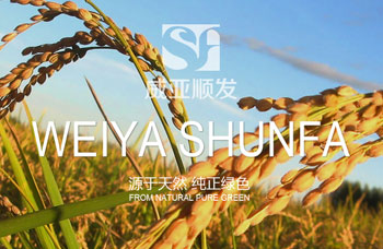 熱烈祝賀江蘇順發(fā)米業(yè)有限公司網(wǎng)站全新上線?。?！
