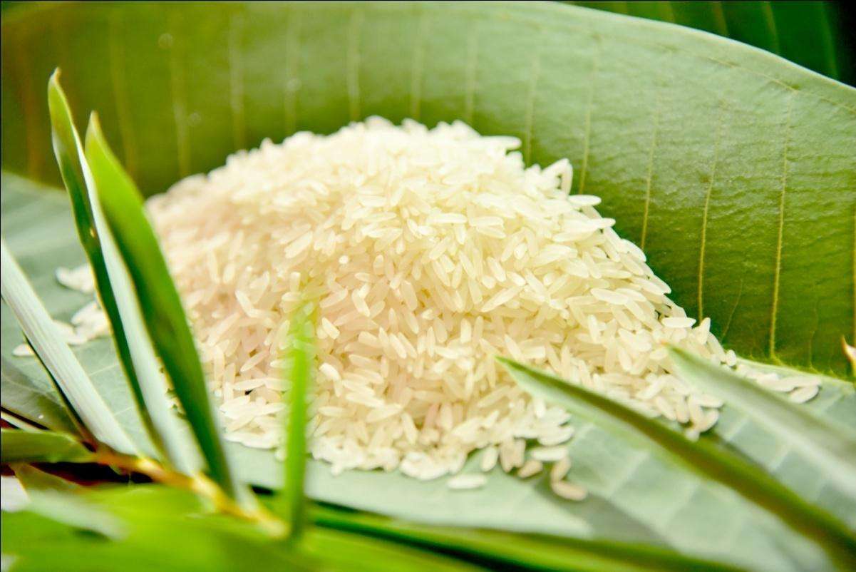 了解有機(jī)大米儲藏特點(diǎn)，正確進(jìn)行儲藏